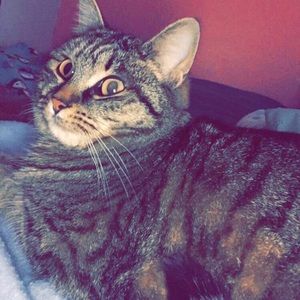 Meet your Posher, Gracie